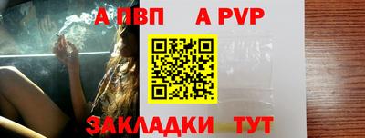 стаф Канаш