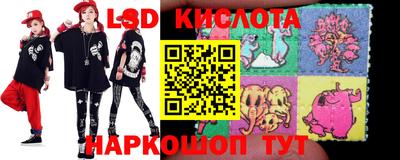 крисы Кандалакша