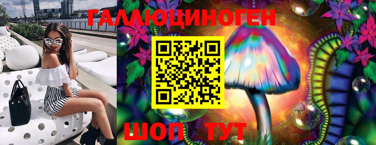 Псилоцибиновые грибы Psilocybe  Вход с VPN  Кунгур 